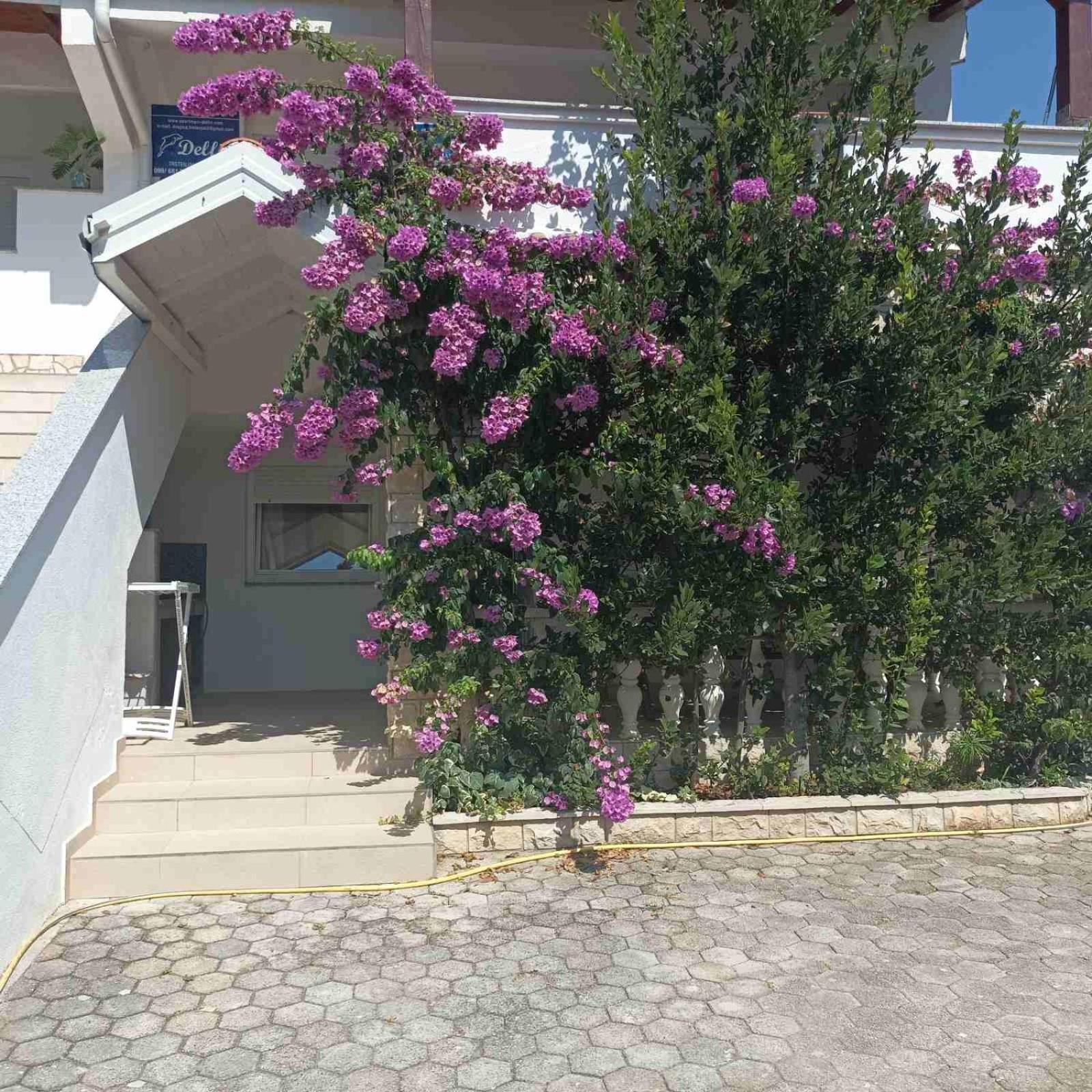 Apartments Vir Delfin Exterior foto